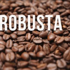 Cà phê Robusta